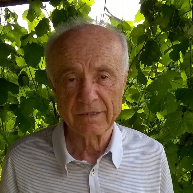 Peter Mathes